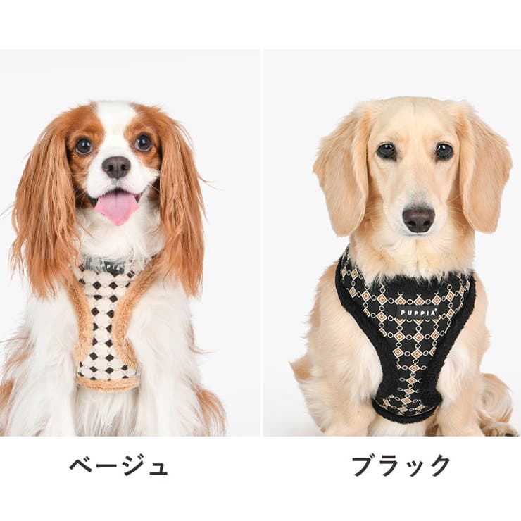 ハーネス 犬 首の負担が少ない | K-city | 詳細画像2 