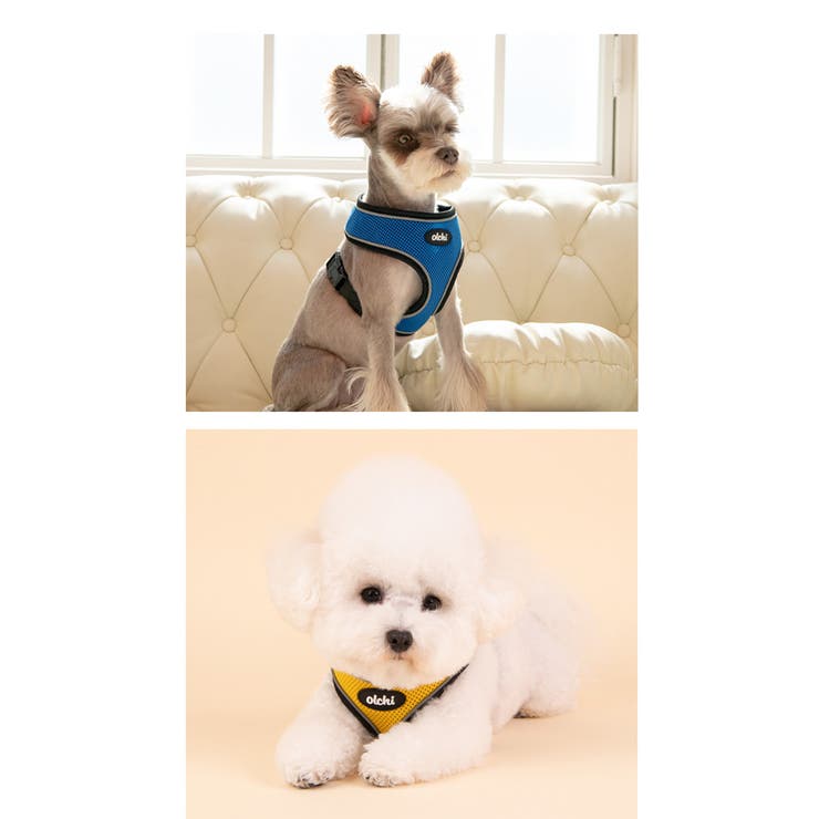 ハーネス 犬 首の負担が少ない | K-city | 詳細画像5 