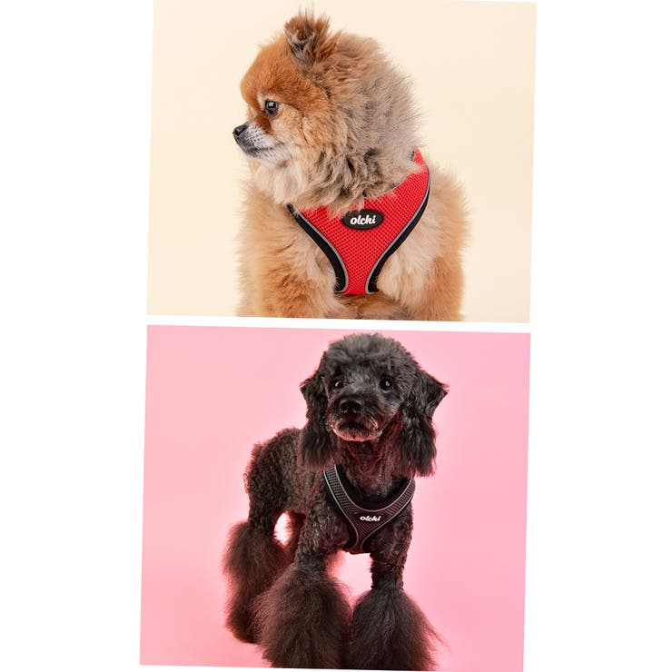 ハーネス 犬 首の負担が少ない | K-city | 詳細画像6 