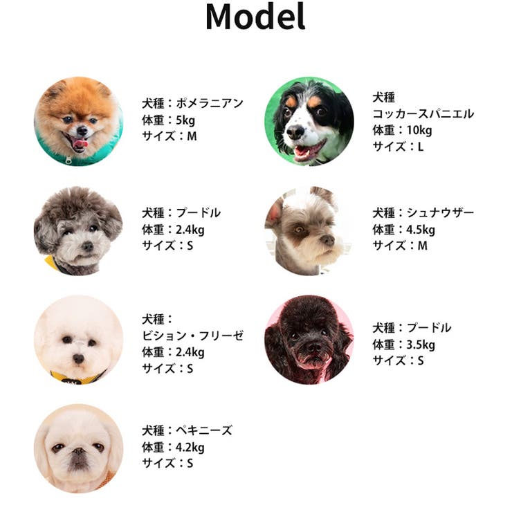 ハーネス 犬 首の負担が少ない | K-city | 詳細画像8 