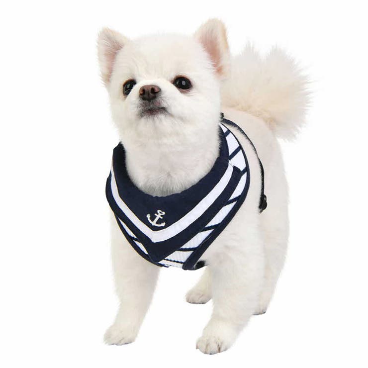 ハーネス 犬 首の負担が少ない | K-city | 詳細画像5 