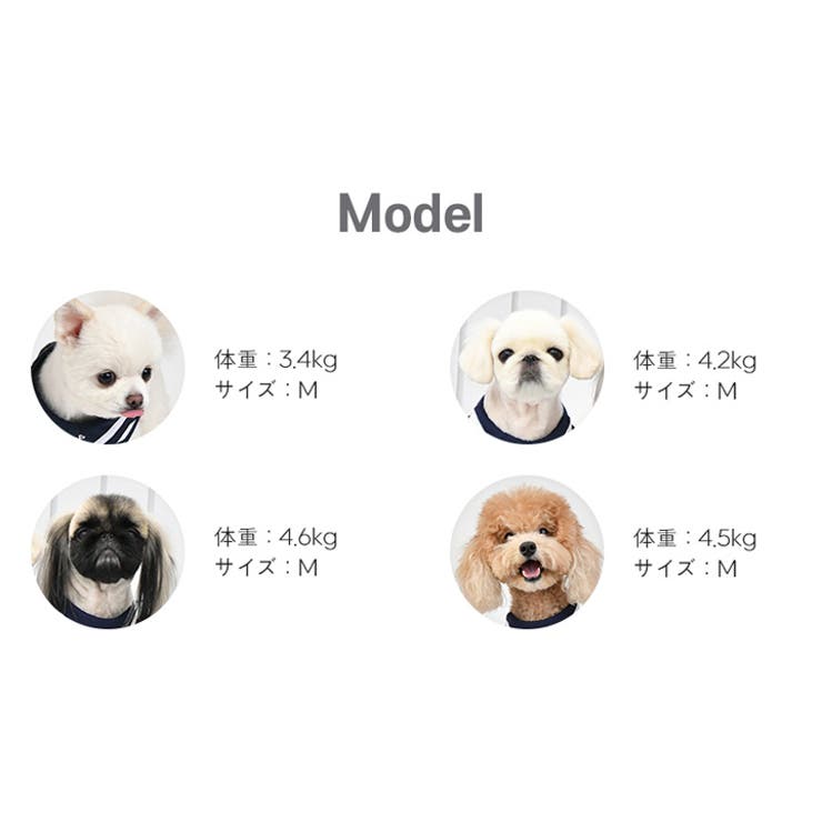 ハーネス 犬 首の負担が少ない | K-city | 詳細画像9 