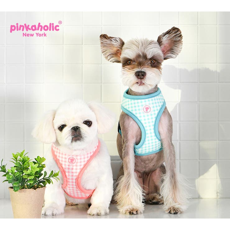 ハーネス 犬 チェック柄 | K-city | 詳細画像2 