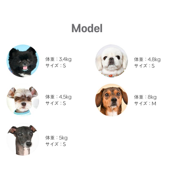 ハーネス 犬 チェック柄 | K-city | 詳細画像9 