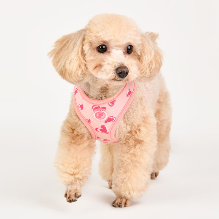 ハーネス ハート柄 犬 | K-city | 詳細画像3 