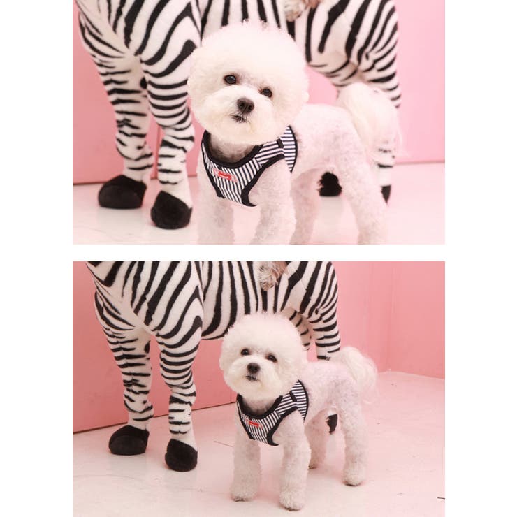 ハーネス 犬 首の負担が少ない | K-city | 詳細画像2 