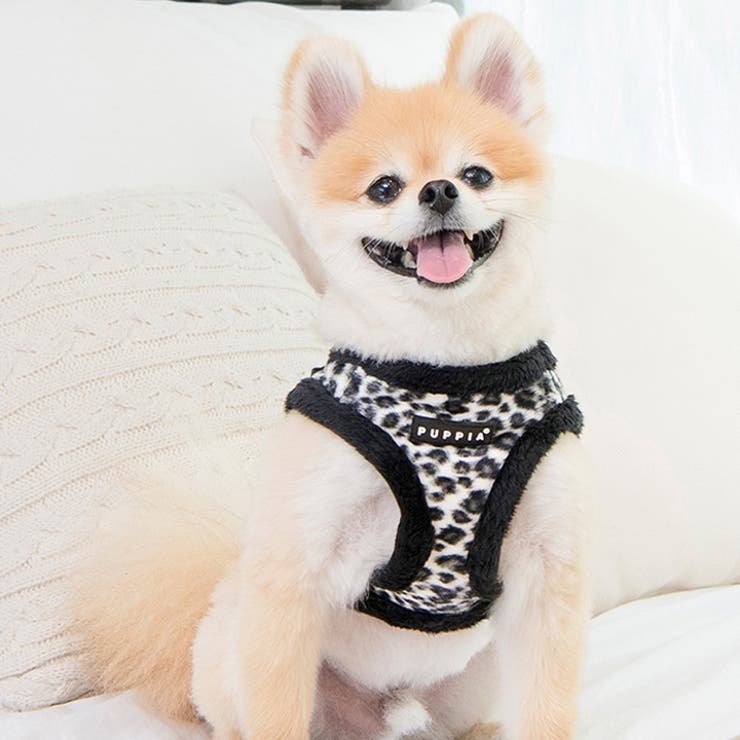 ハーネス 犬 ヒョウ柄[品番：NX000007032]｜K-city（ケイシティ
