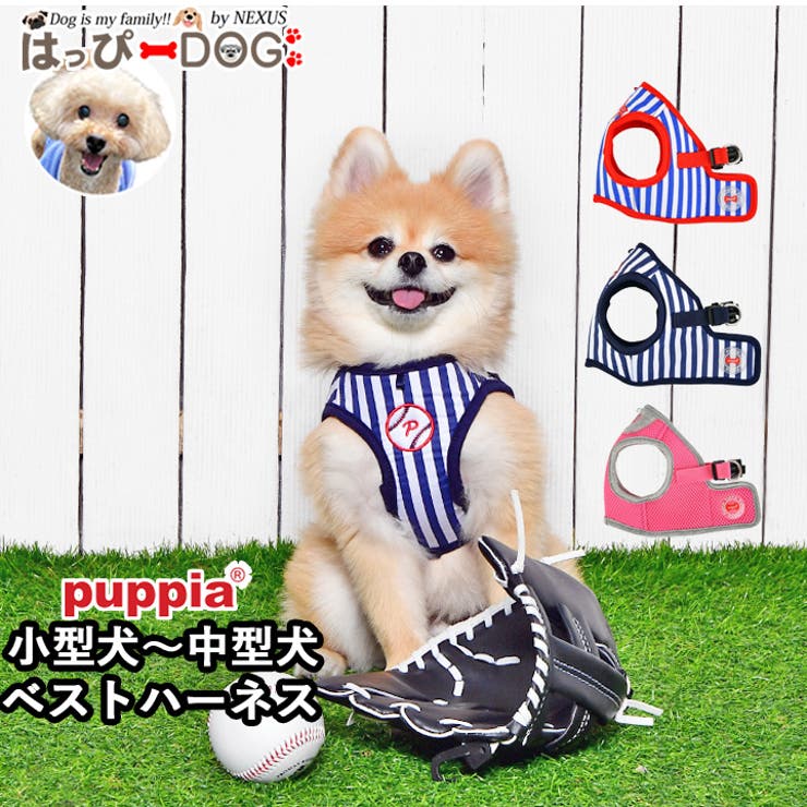 ハーネス 犬 首の負担が少ない | K-city | 詳細画像1 