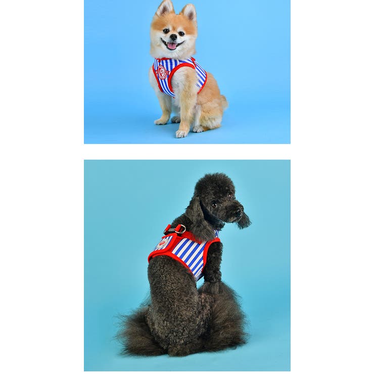 ハーネス 犬 首の負担が少ない | K-city | 詳細画像4 