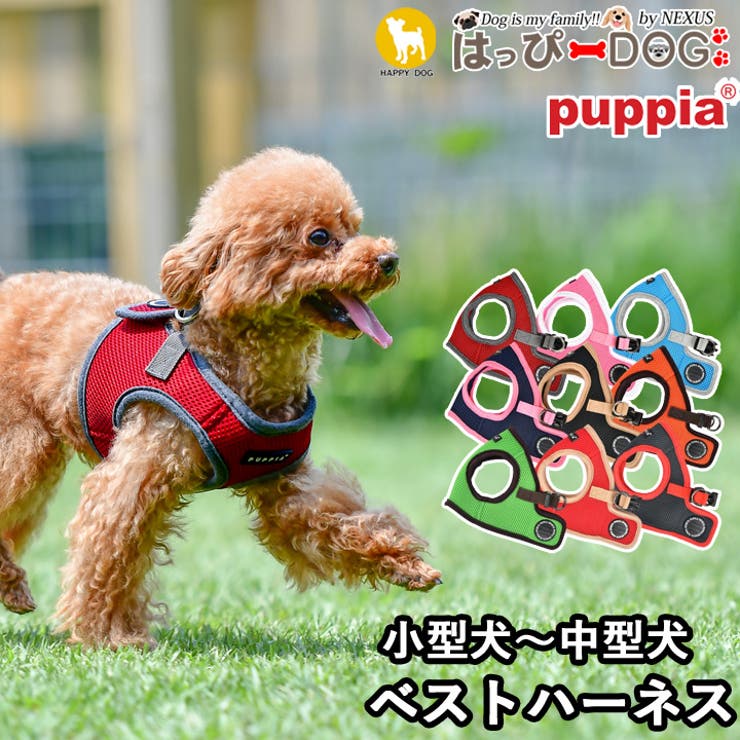 ハーネス 犬 首の負担が少ない | K-city | 詳細画像1 