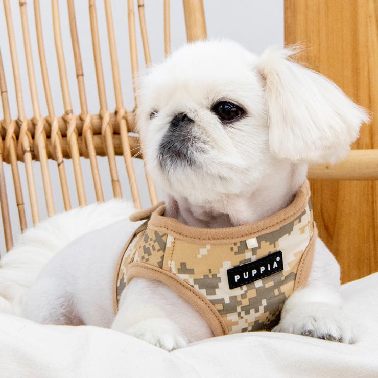 ハーネス カモフラ 犬 | K-city | 詳細画像6 