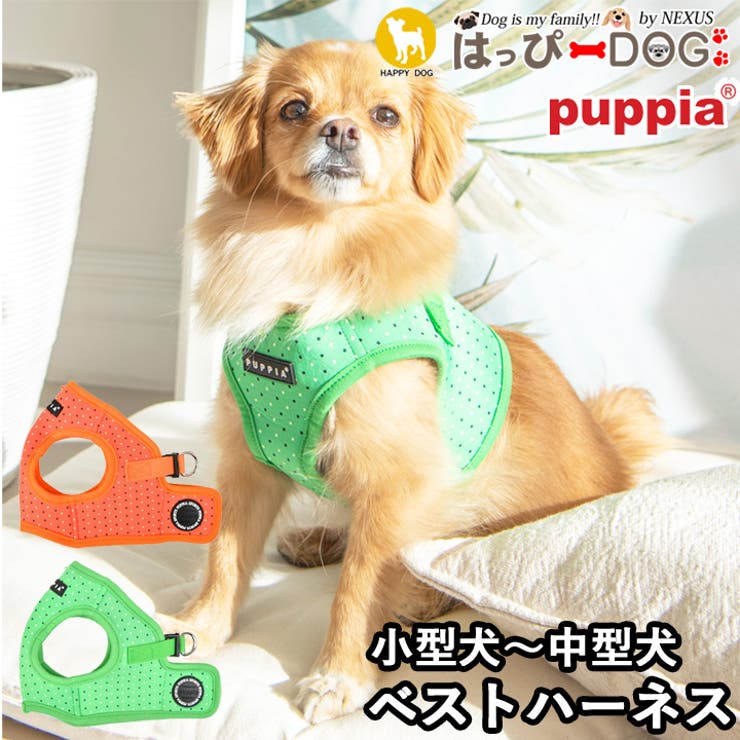 ハーネス ドット柄 犬 | K-city | 詳細画像1 