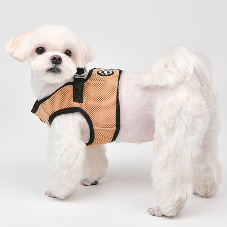 ハーネス 犬 LEDライト[品番：NX000006993]｜K-city（ケイシティ）のファッション通販｜SHOPLIST（ショップリスト）