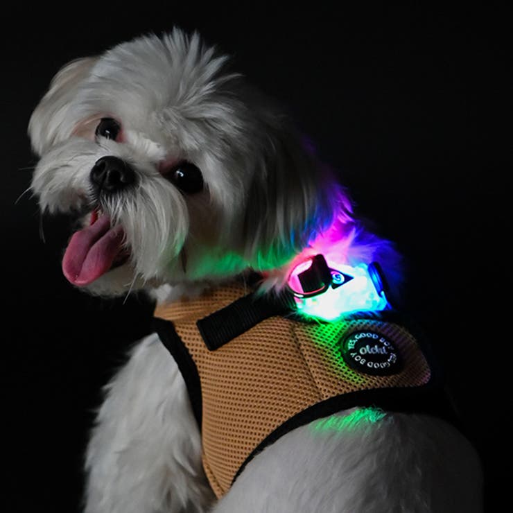 【楽天市場】zee.dog ジードッグ ハーネス 中型犬 大型犬 Mサイズ トレーニング いぬ ペット トレーニング 引っ張り防止 お散歩 ワンタッチ  おしゃれ 可愛い カラフル カラー豊富 丈夫 ソフトウォーク スカル ビーグル ブルドッグ : 外遊びとファッション雑貨 