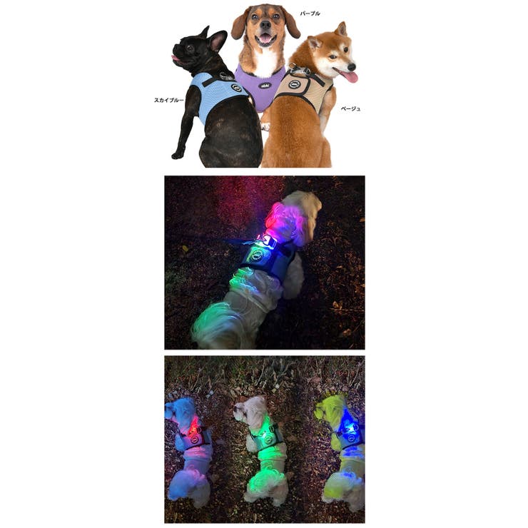 ハーネス 犬 LEDライト[品番：NX000006993]｜K-city（ケイシティ