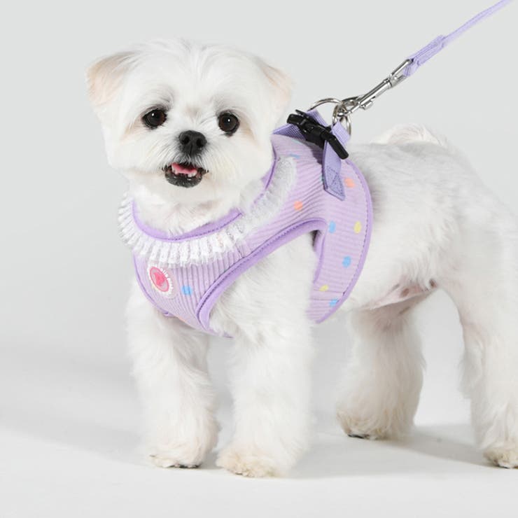 ハーネス 犬 首の負担が少ない | K-city | 詳細画像4 