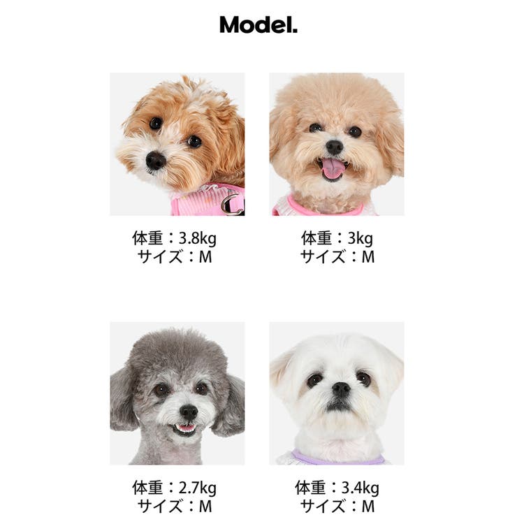 ハーネス 犬 首の負担が少ない | K-city | 詳細画像9 