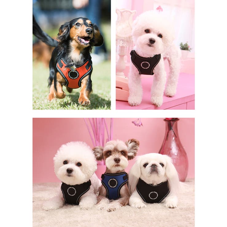 ハーネス 犬 首の負担が少ない | K-city | 詳細画像3 