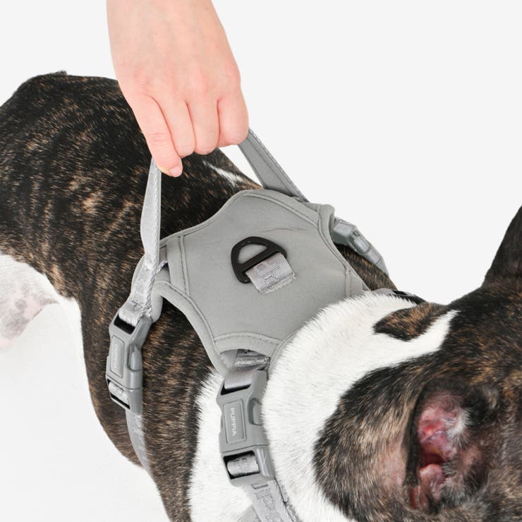 ハーネス 犬 首の負担が少ない[品番：NX000006962]｜K-city