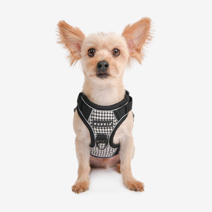 ハーネス 犬 首の負担が少ない[品番：NX000006964]｜K-city