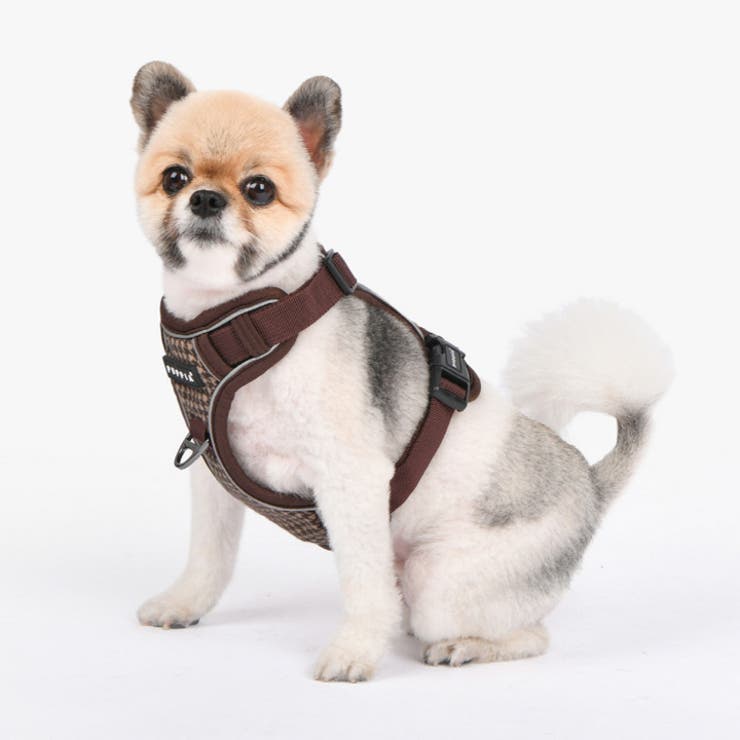 ハーネス 犬 首の負担が少ない[品番：NX000006964]｜K-city