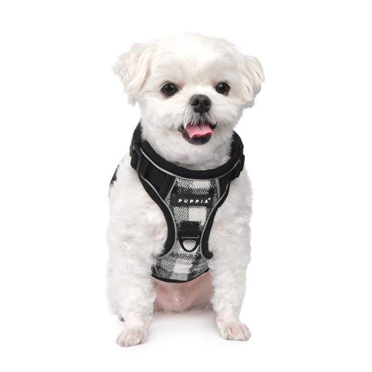ハーネス 犬 首の負担が少ない[品番：NX000006965]｜K-city