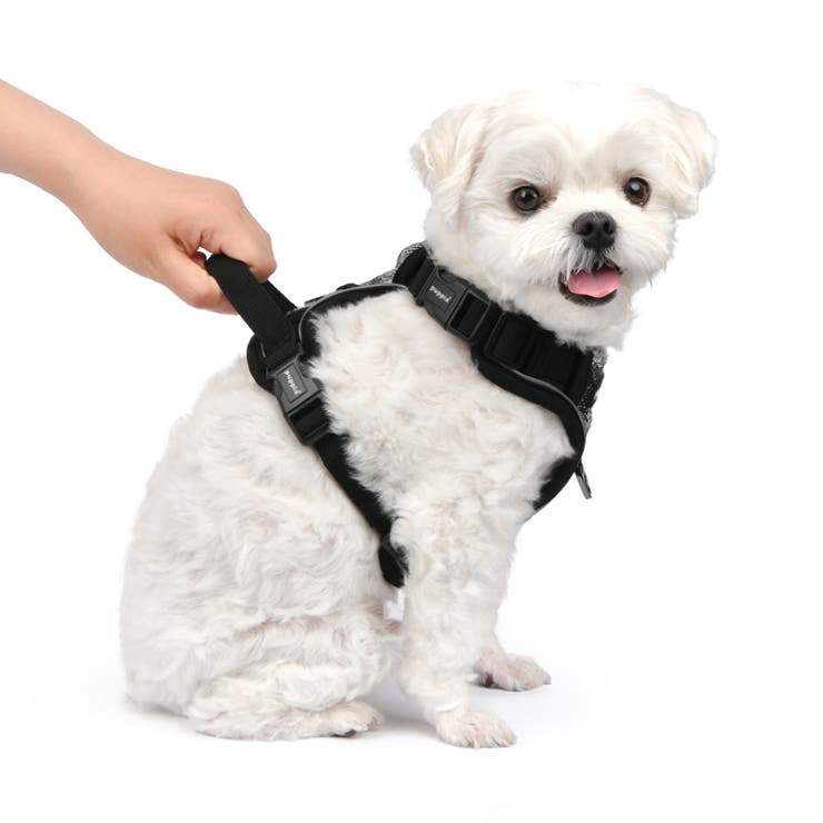 ハーネス 犬 首の負担が少ない[品番：NX000006965]｜K-city