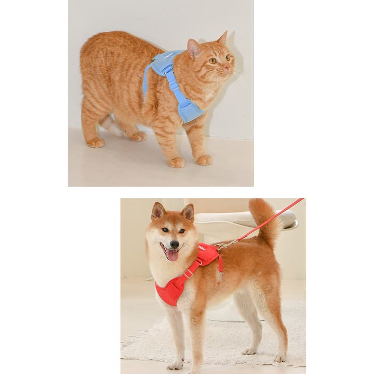 ハーネス 犬 首の負担が少ない | K-city | 詳細画像4 