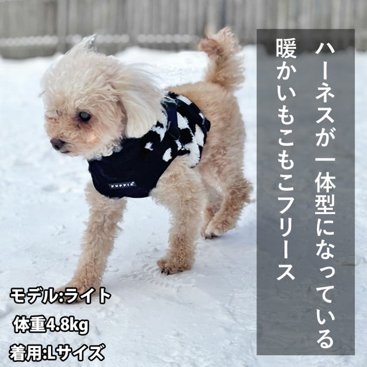 犬 服 犬服[品番：NX000006922]｜K-city（ケイシティ）の