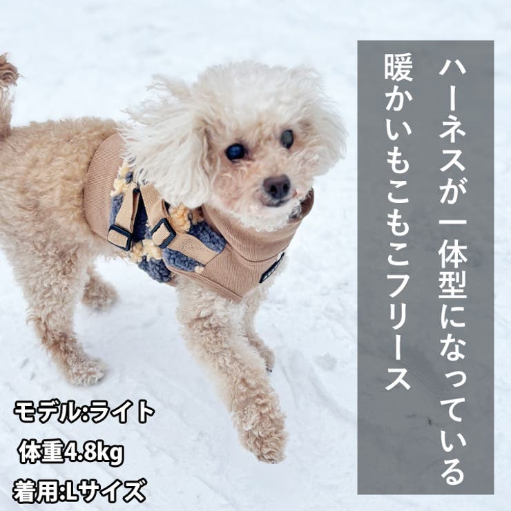 犬 服 犬服[品番：NX000006923]｜K-city（ケイシティ）の