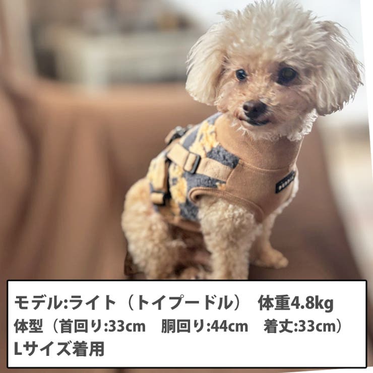 犬 服 犬服[品番：NX000006718]｜K-city（ケイシティ）の