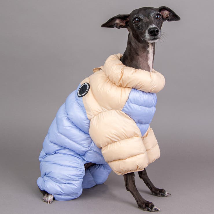 犬服 ハーネス 胴輪[品番：NX000005684]｜K-city（ケイシティ）のファッション通販｜SHOPLIST（ショップリスト）