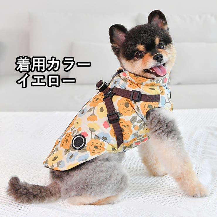 犬 服 犬服 | K-city | 詳細画像6 