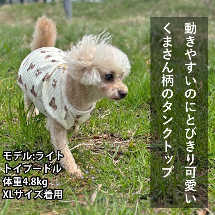 犬 服 犬服 | K-city | 詳細画像2 