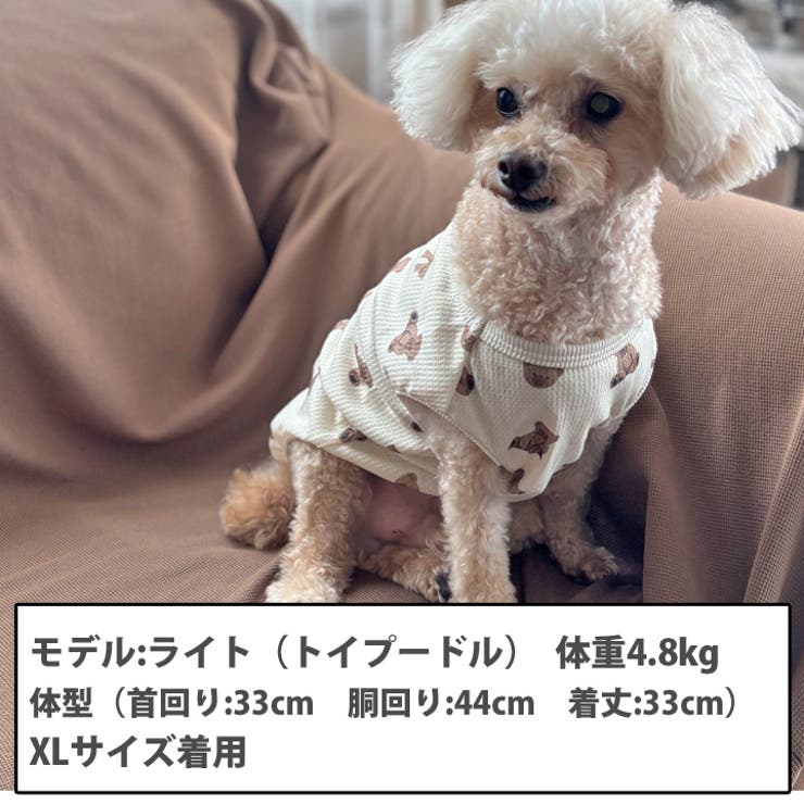 犬 服 犬服 | K-city | 詳細画像3 