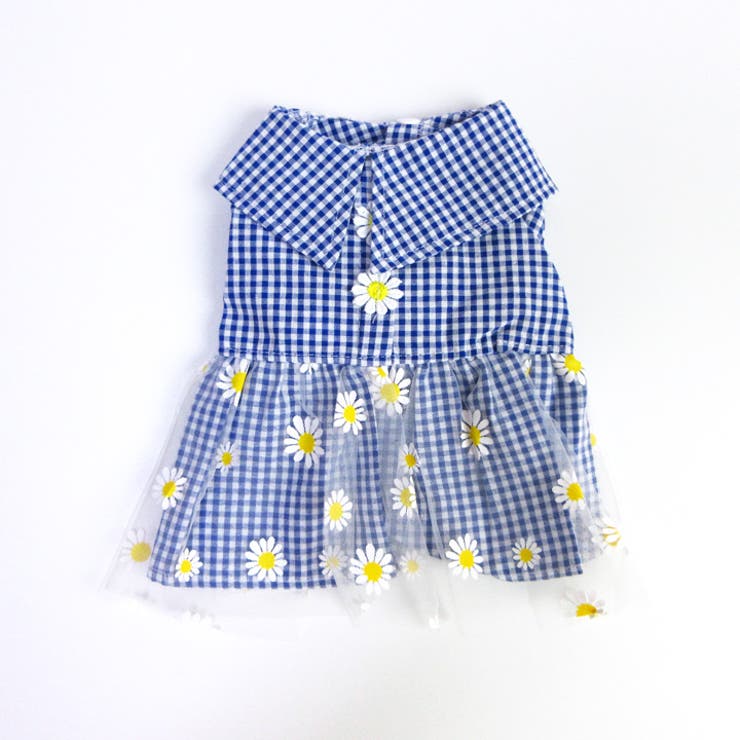 ⭐︎いぬ⭐︎ 犬 服 犬服[品番：NX000007144]｜K-city（ケイシティ）の