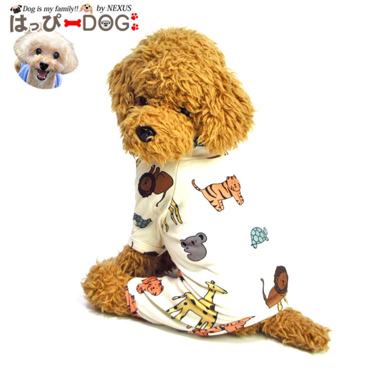 犬 服 犬服 | K-city | 詳細画像1 