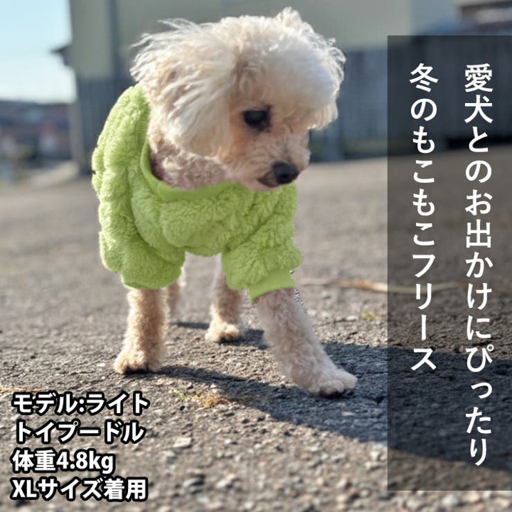 犬 服 犬服 | K-city | 詳細画像6 