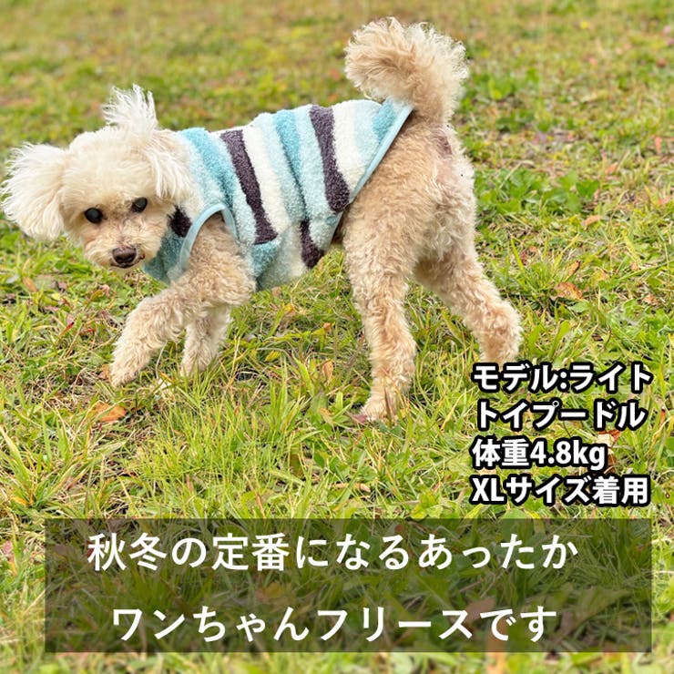 犬 服 犬服 | K-city | 詳細画像8 