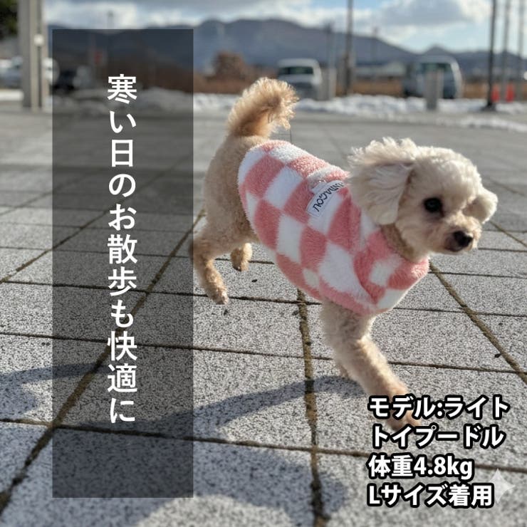 犬 服 犬服 | K-city | 詳細画像2 