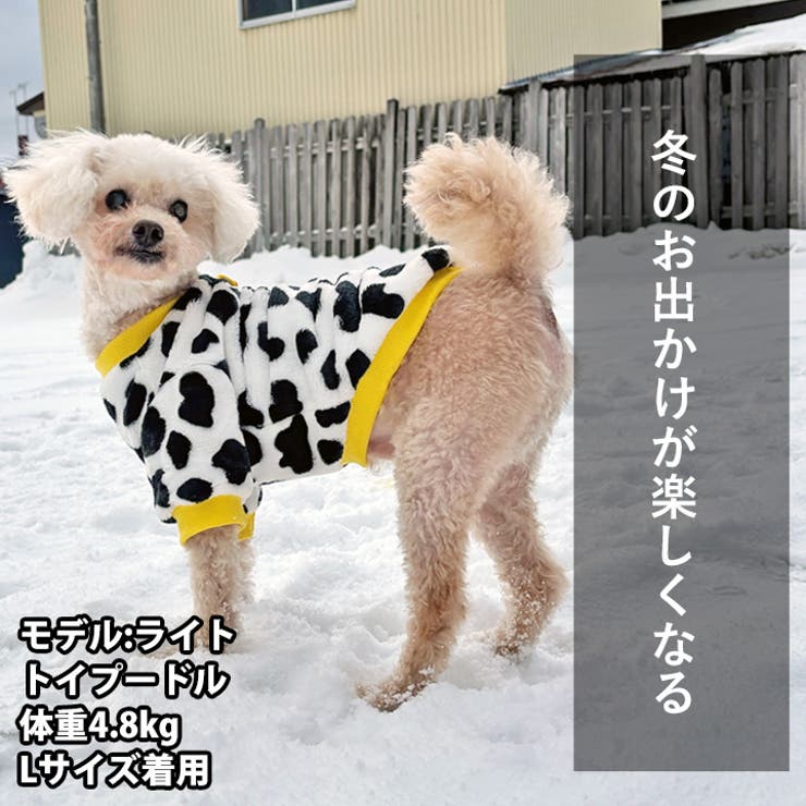 犬 服 犬服 | K-city | 詳細画像4 