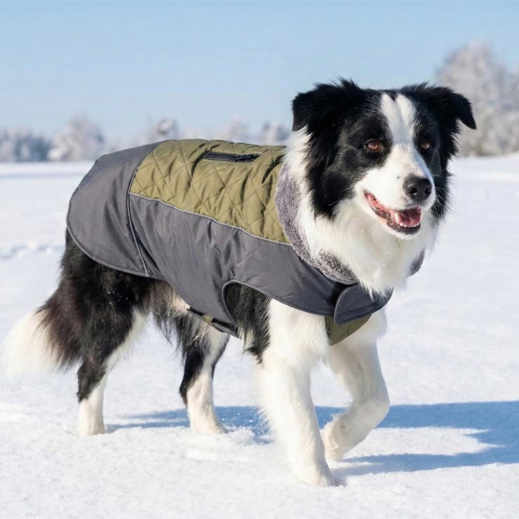 着せやすい大型犬用コート 犬服 大型犬 | K-city | 詳細画像2 