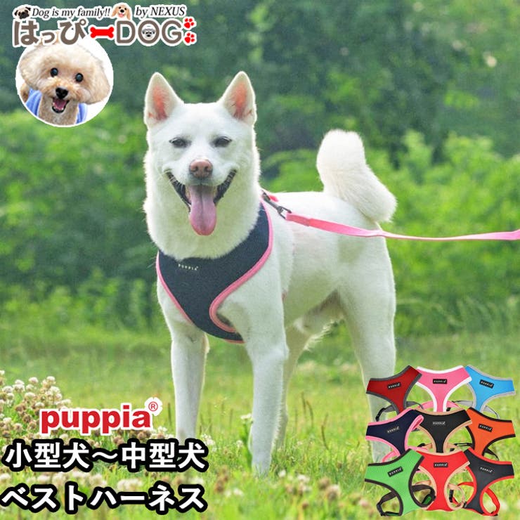 ハーネス 犬 首の負担が少ない | K-city | 詳細画像1 