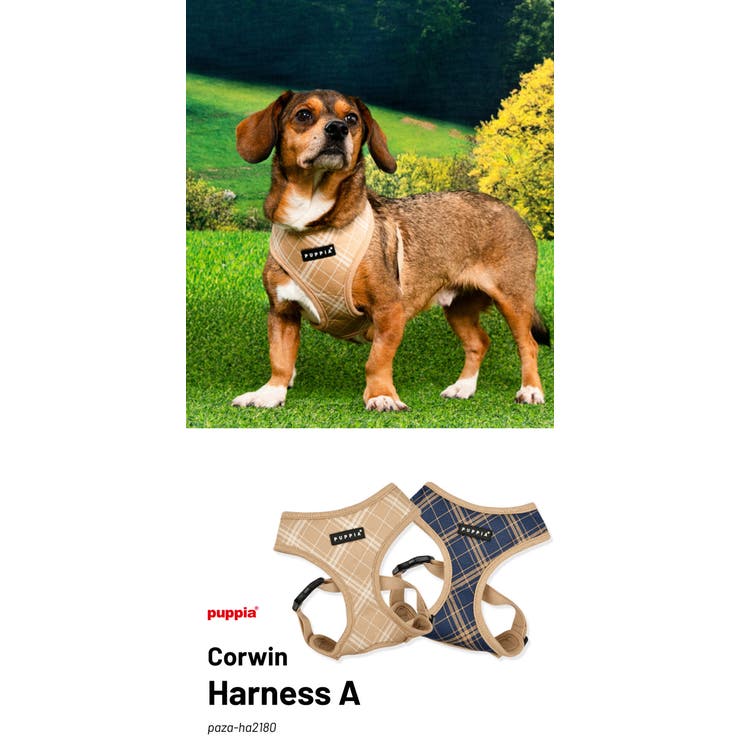 ハーネス 犬 首の負担が少ない | K-city | 詳細画像2 