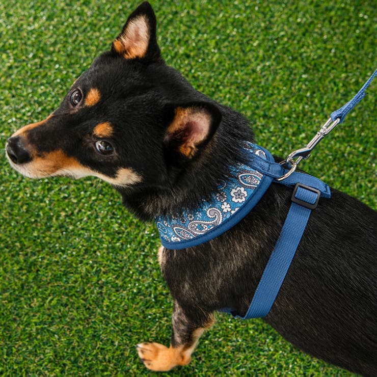 ハーネス 犬 首の負担が少ない | K-city | 詳細画像4 