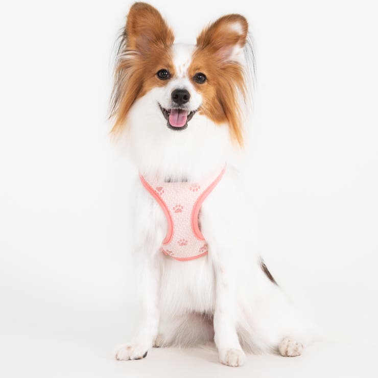 ベストハーネス 足跡柄 PUPPIA | K-city | 詳細画像5 