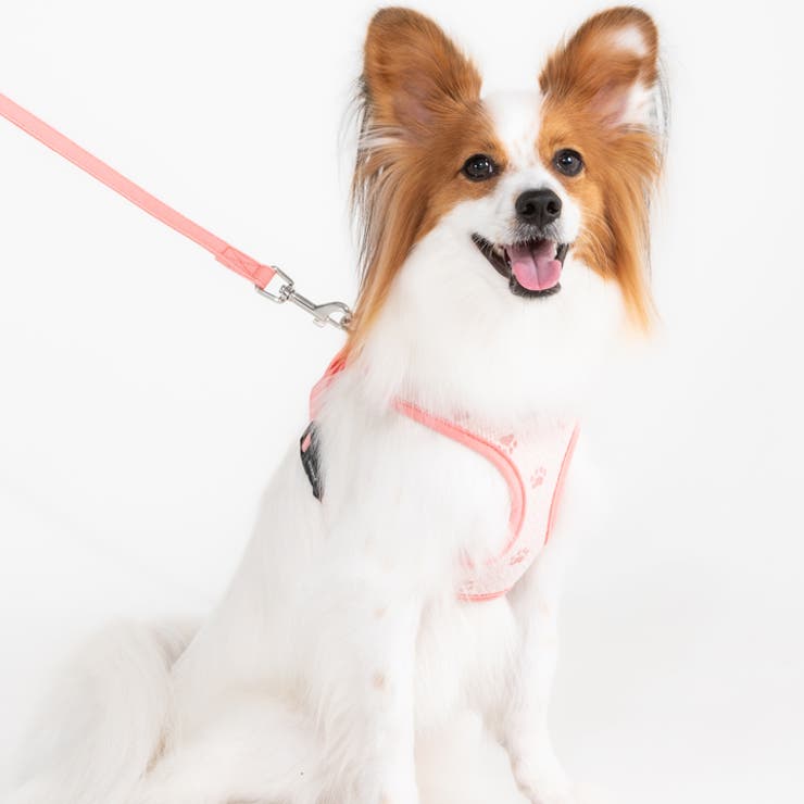 ベストハーネス 足跡柄 PUPPIA | K-city | 詳細画像6 