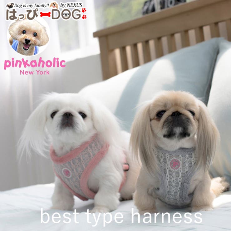 ハーネス 犬 首の負担が少ない | K-city | 詳細画像1 