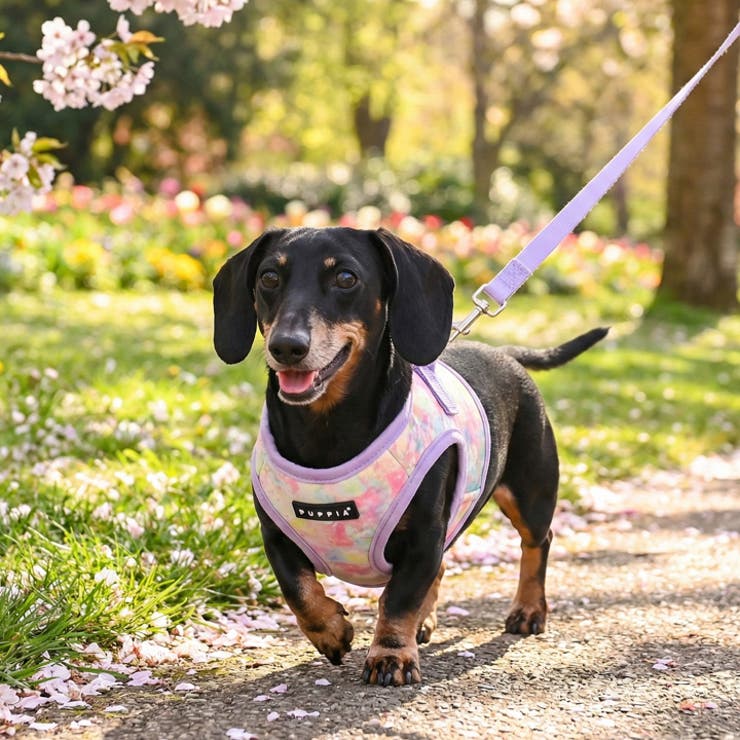 ふんわり春色ベストハーネス 犬 ハーネス | K-city | 詳細画像3 