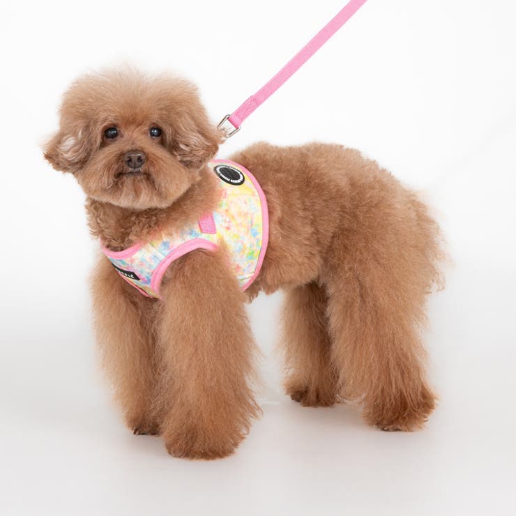 ふんわり春色ベストハーネス 犬 ハーネス | K-city | 詳細画像4 
